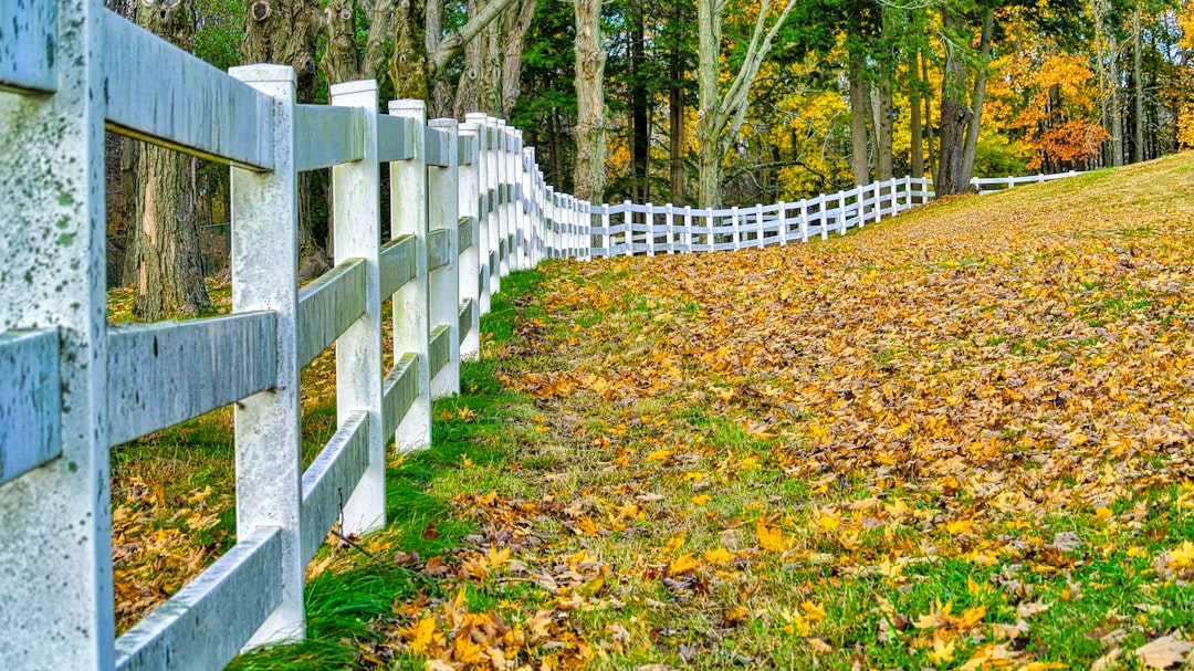 White wooden fence — Photo by Clay LeConey on Unsplash